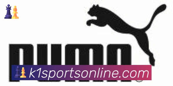 K1体育合作伙伴